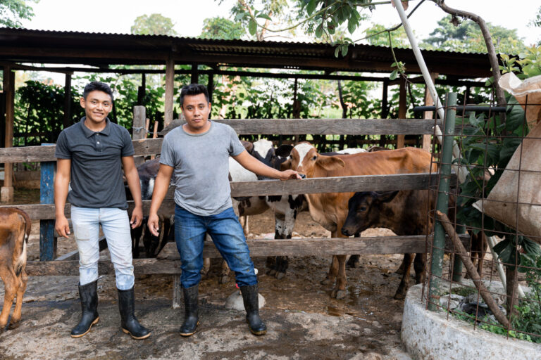 Empowering the Livestock Industry with másLabor’s Proven Workforce Solutions