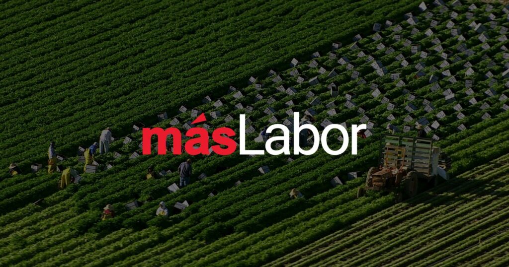 Aerial view of a large seasonal harvest crew working rows of vegetables in California, with packed produce boxes and a tractor and trailer